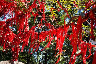 《星际公民》新视频展示FPS战斗改进：背包装弹等